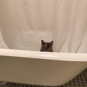 Meet your Posher, Alden